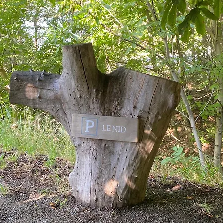 Maison Guyon 公寓 Chambave